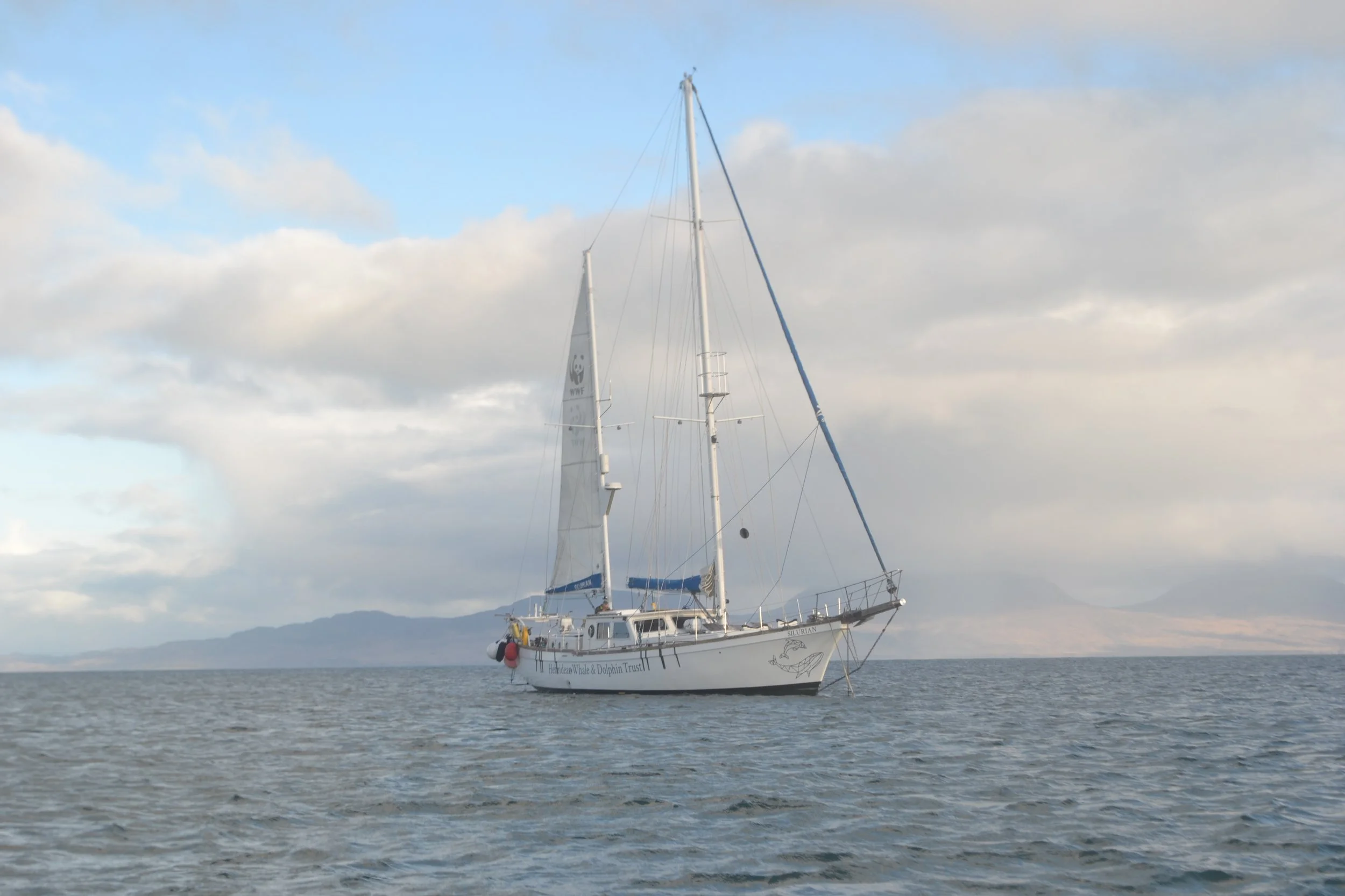 HWDT Research Expeditions Shortlisted for a Nature of Scotland Award