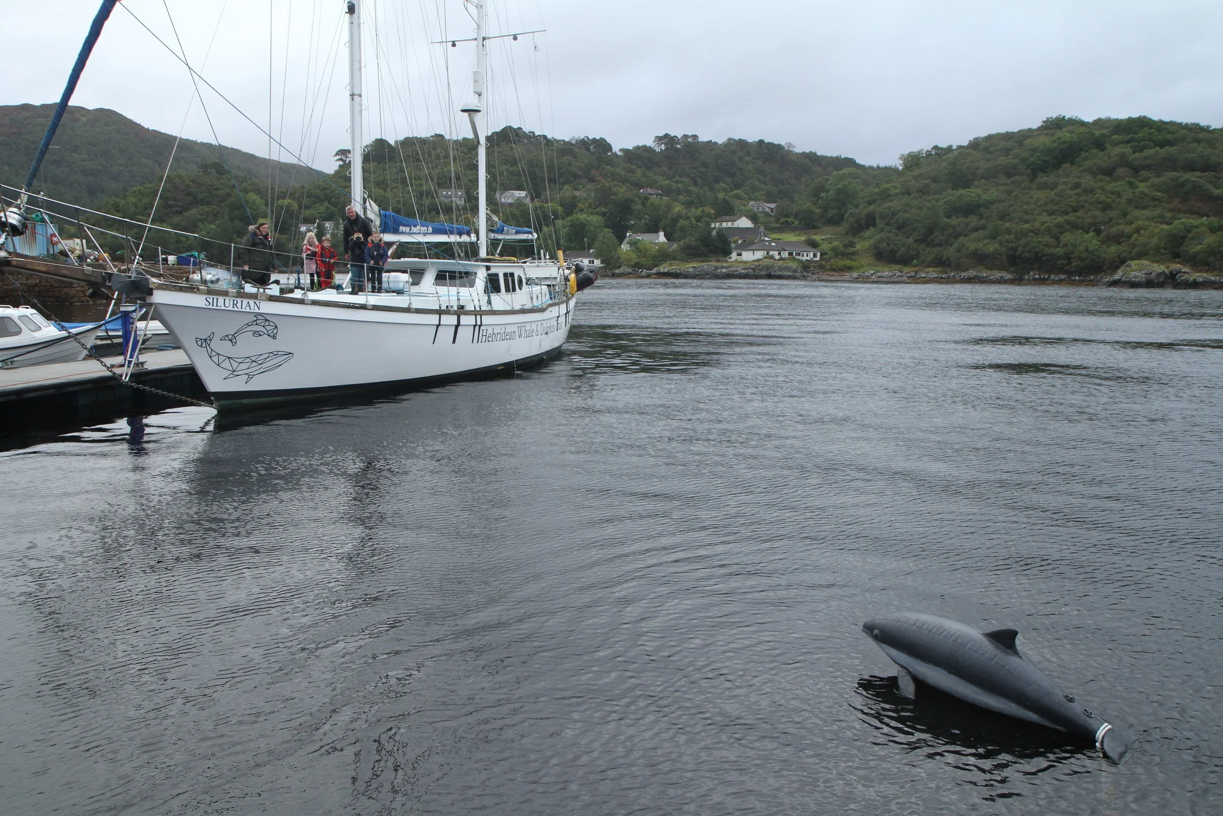 “Sighting!…No…Exciting!”