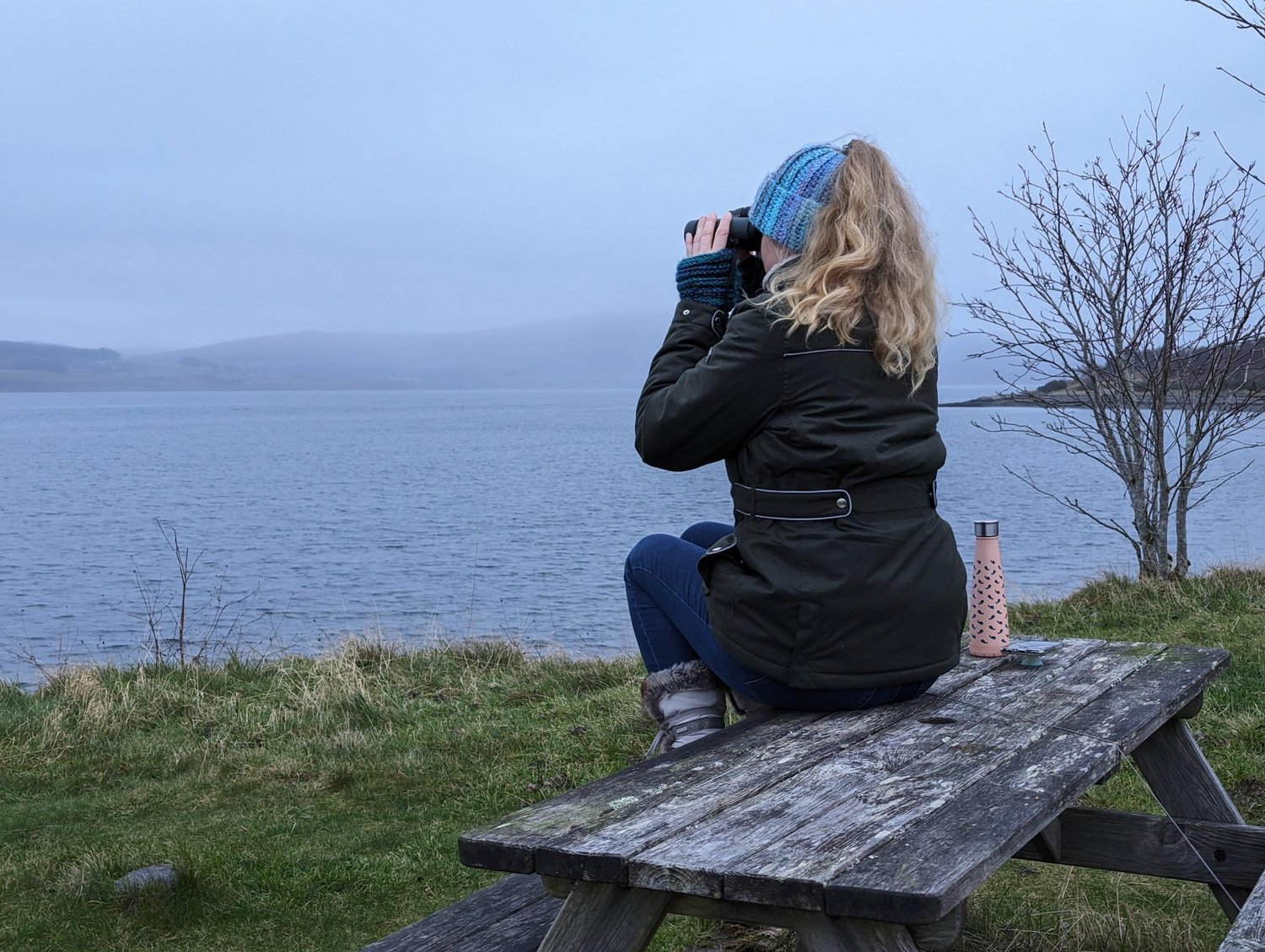 The wonders of winter watching 