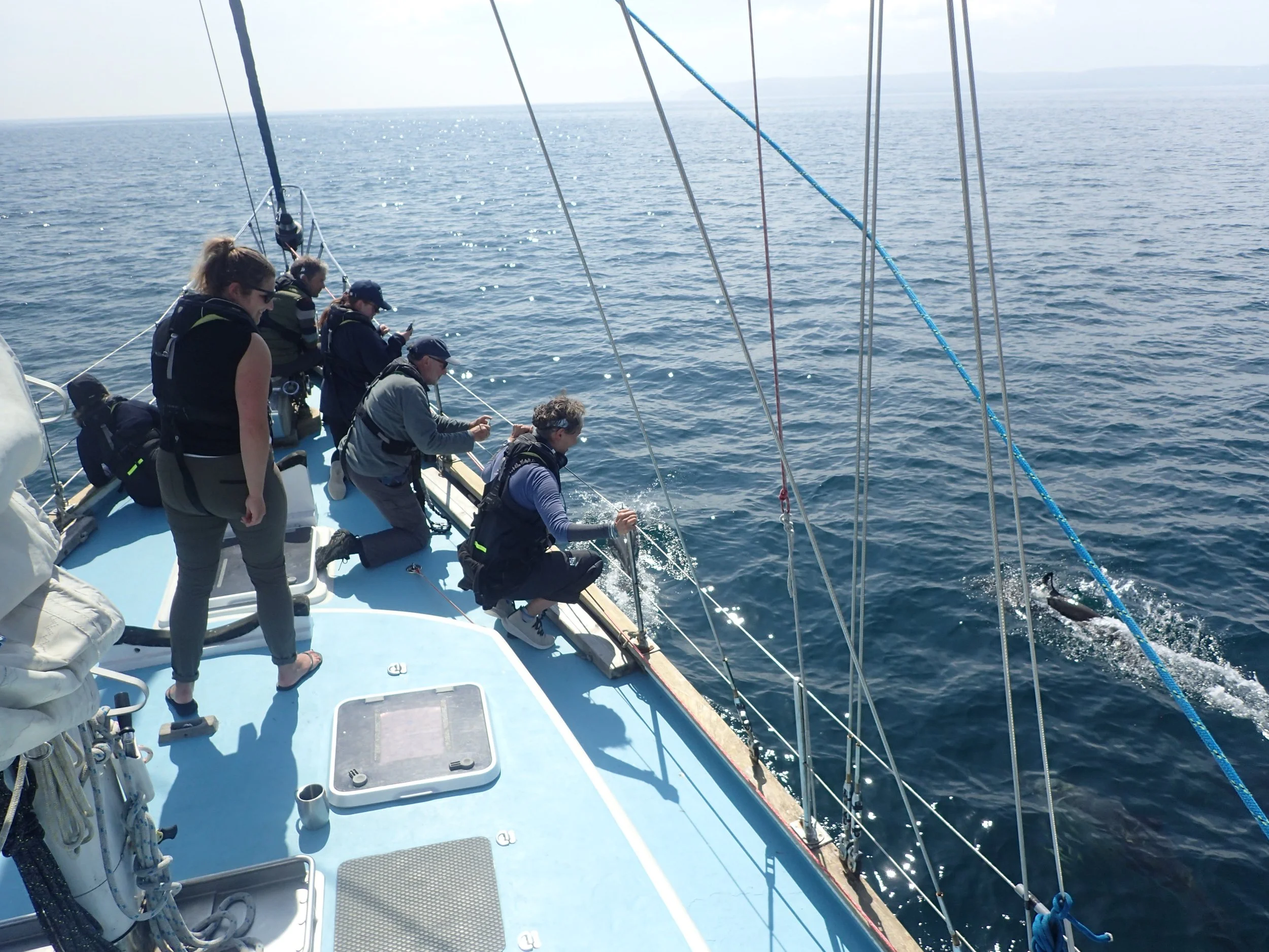 Research Expedition HWDT03: 17 - 24 May 2026