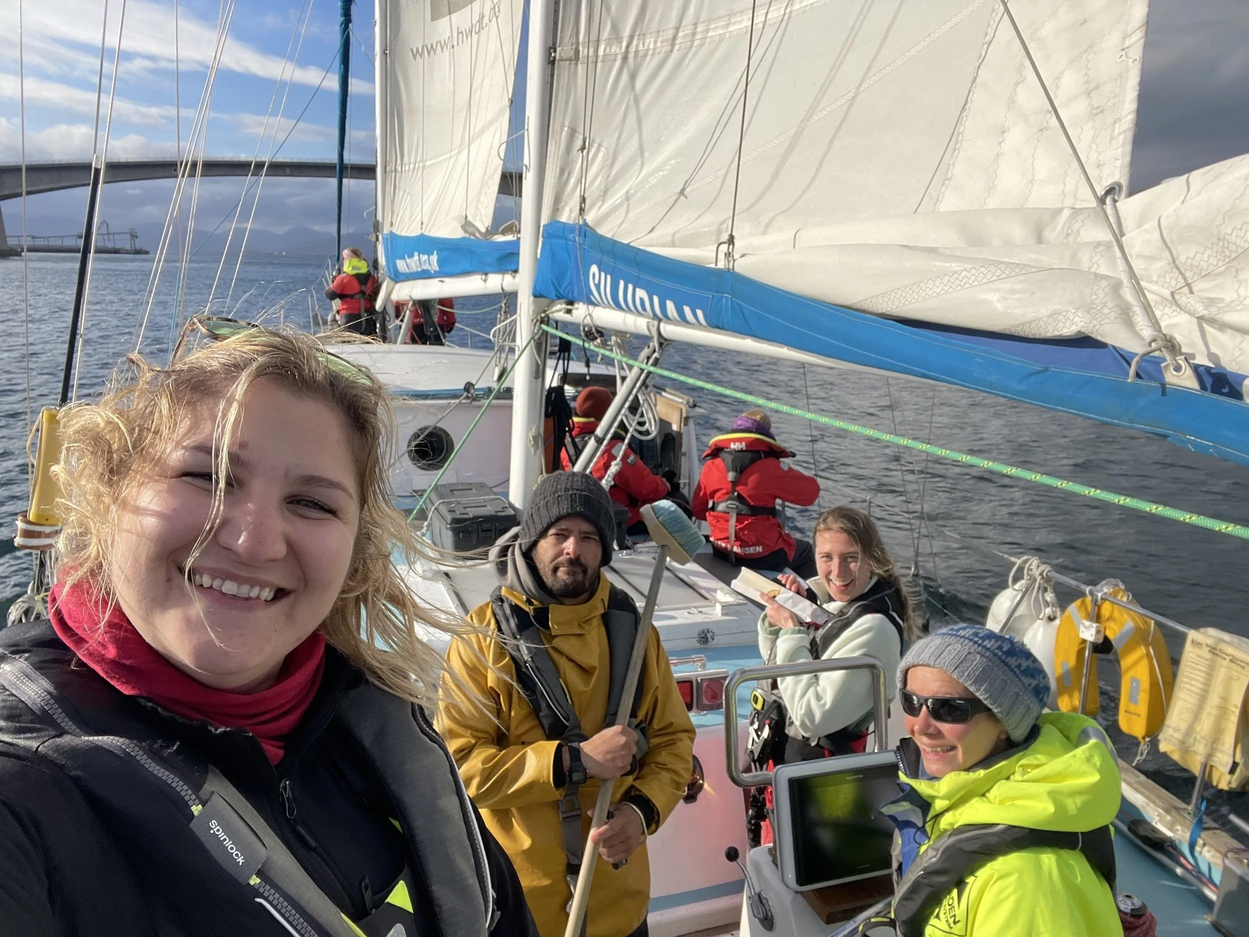 Whales, porpoises and seabirds galore…