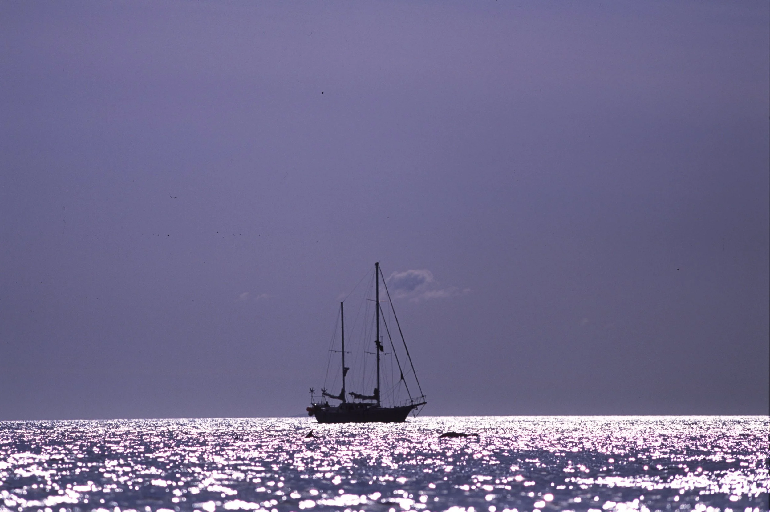 AIS data underrepresents vessel traffic around coastal Scotland