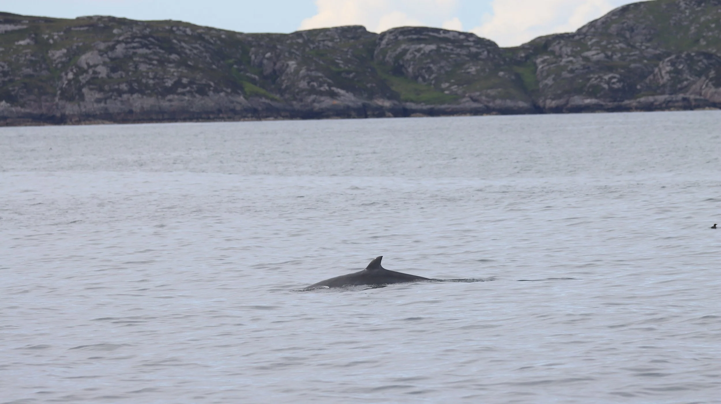 Stormy seas and sailing with celebrities