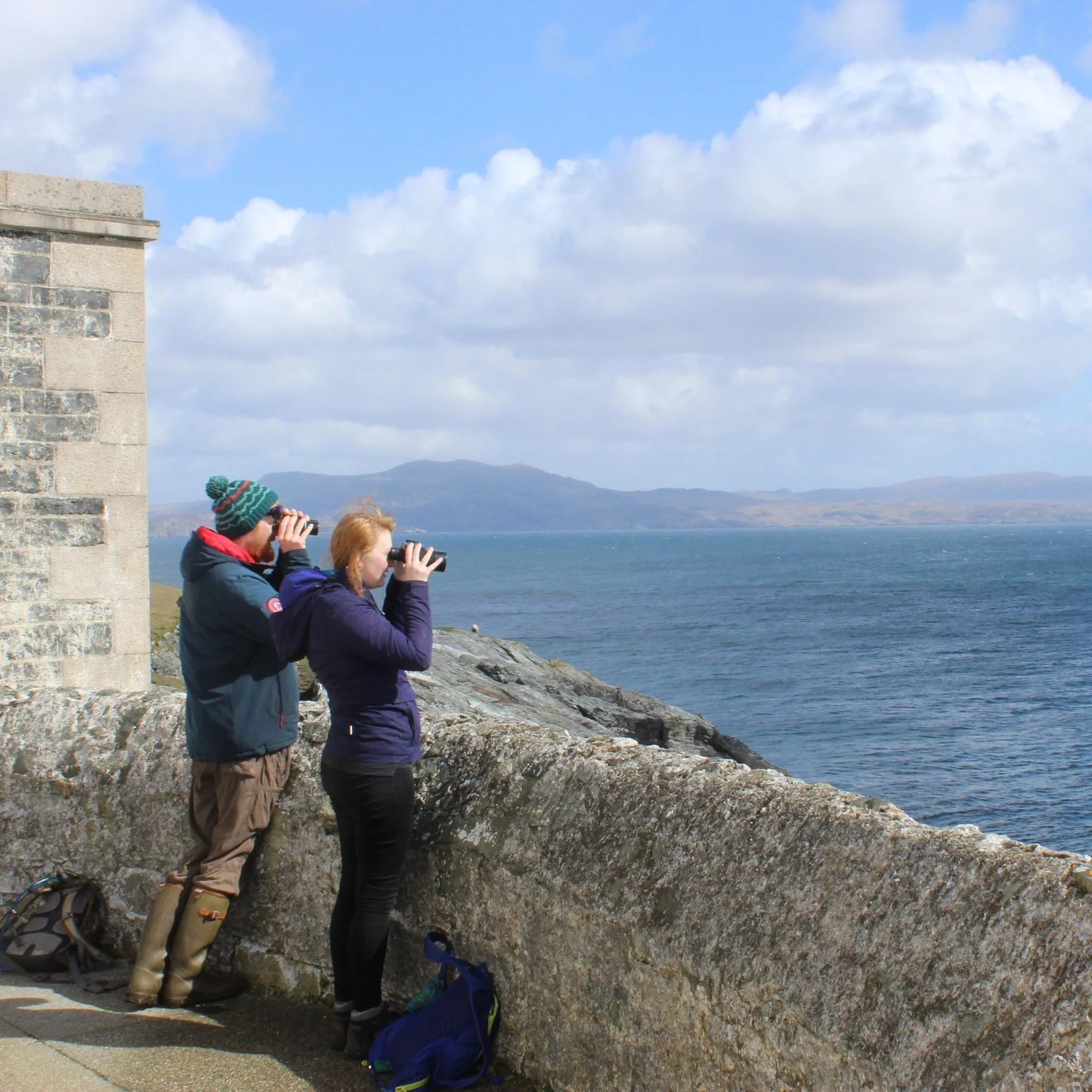 Data gathered by our Whale Track community sightings network