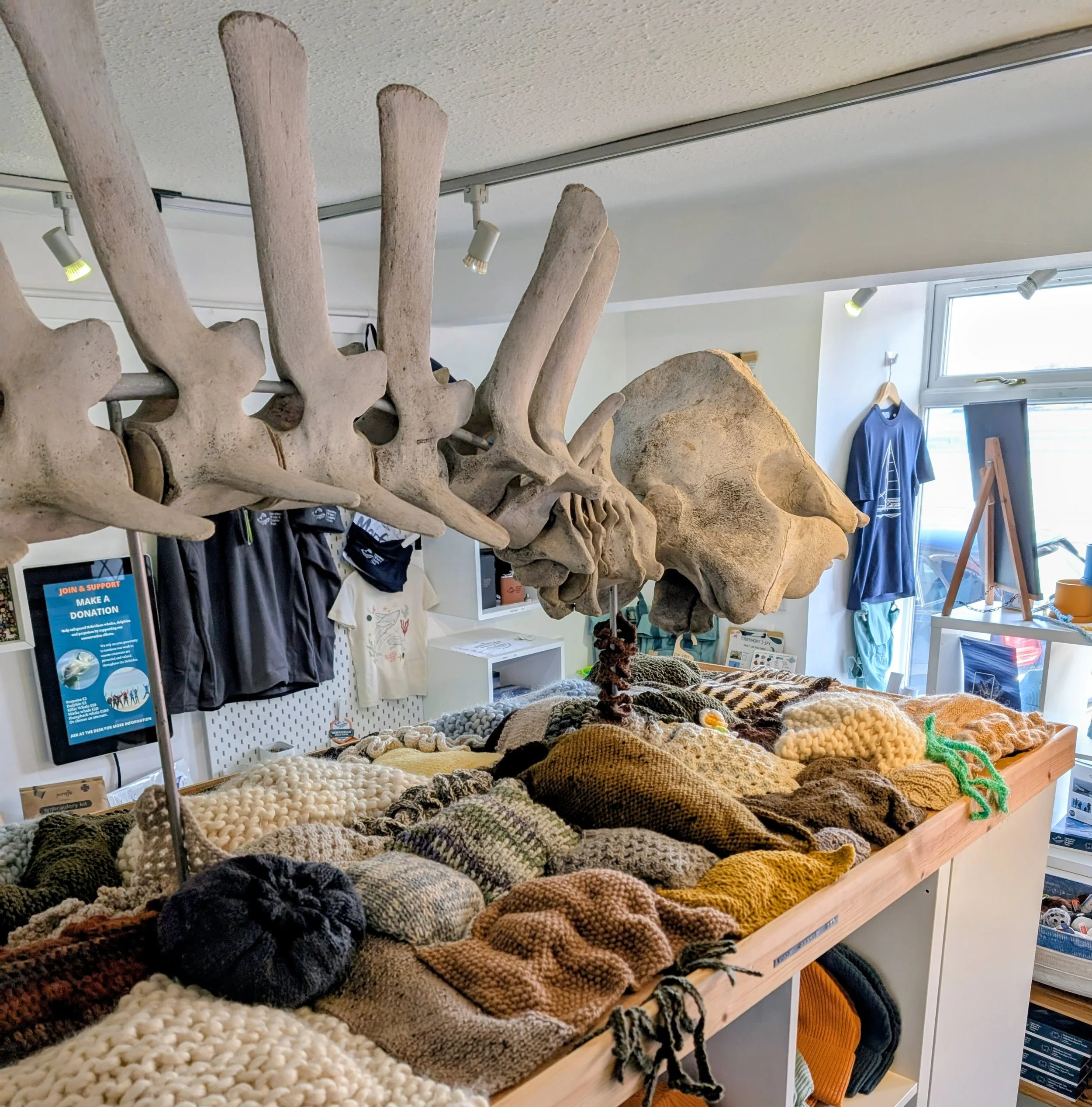 phase 1 in progress.jpg