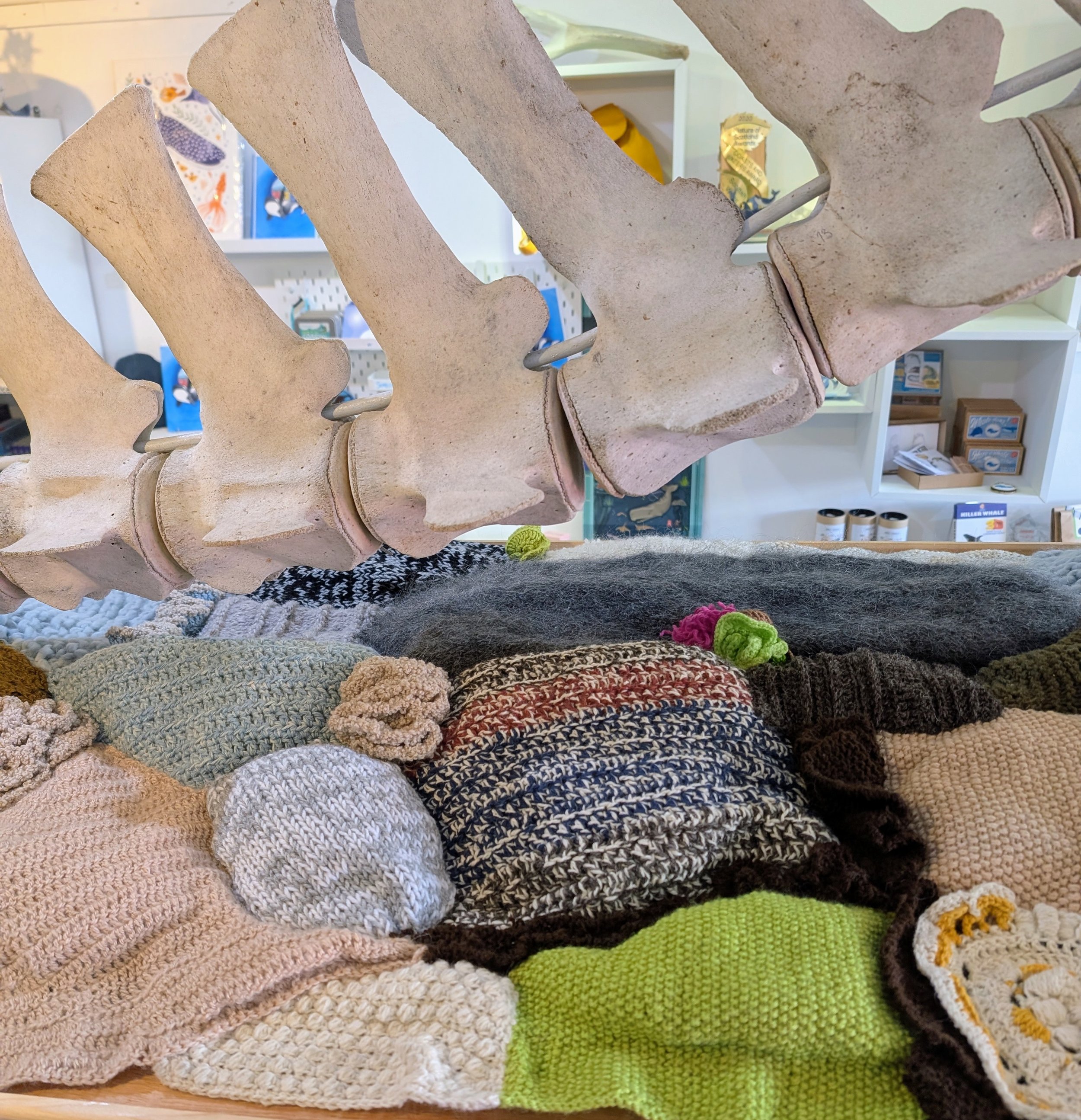 phase 1 in progress2.jpg