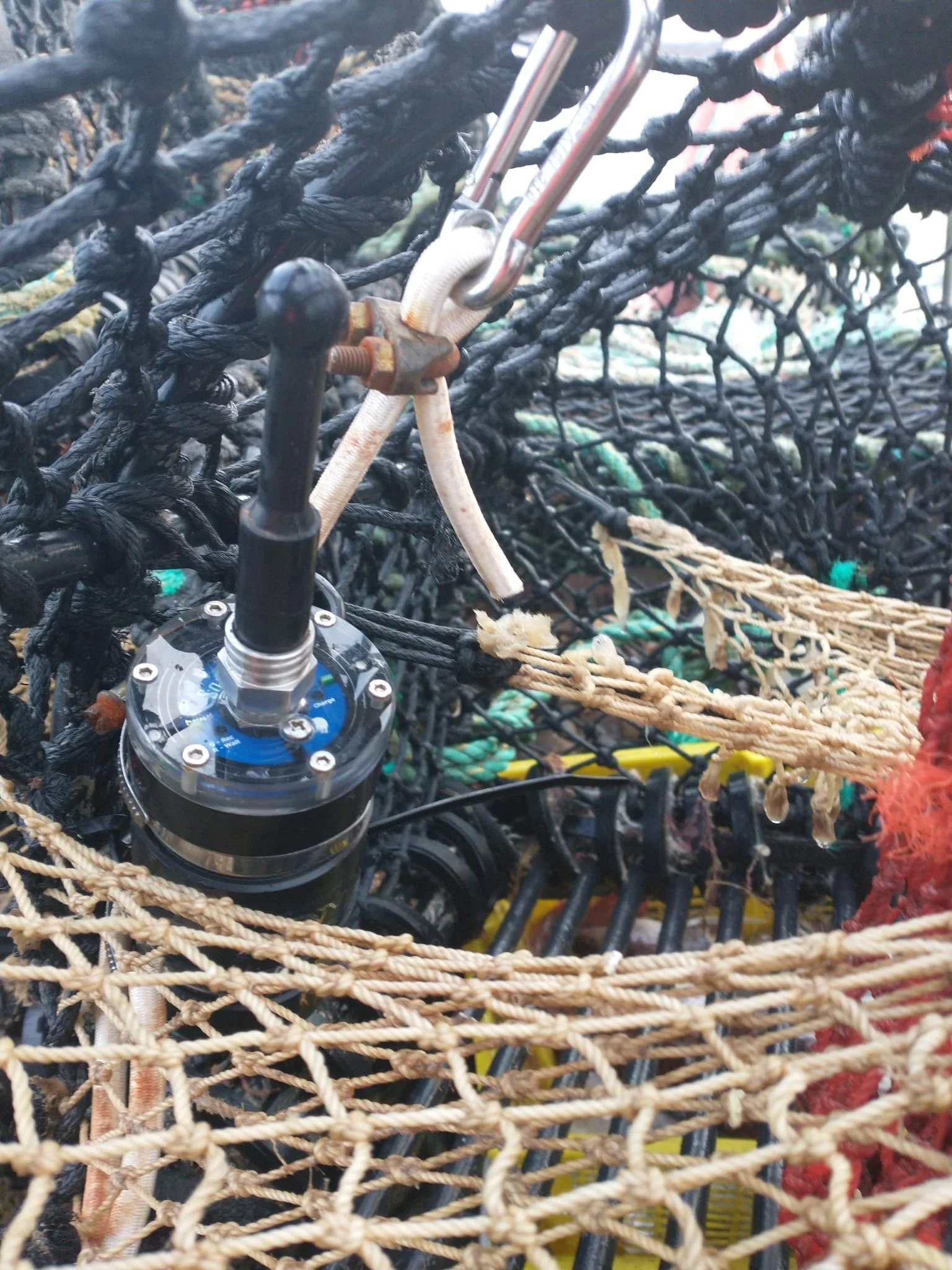 Creeling for Sounds: A Collaborative Approach to Acoustic Monitoring ...