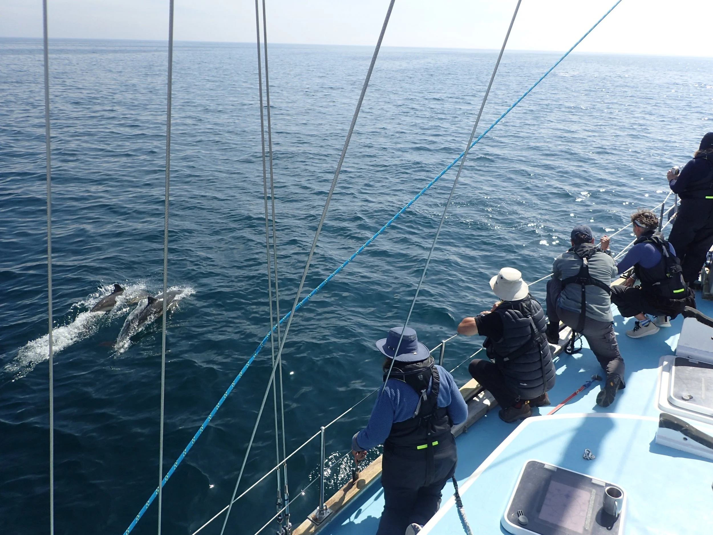 Silurian Season Highlights: 2023 Achievements