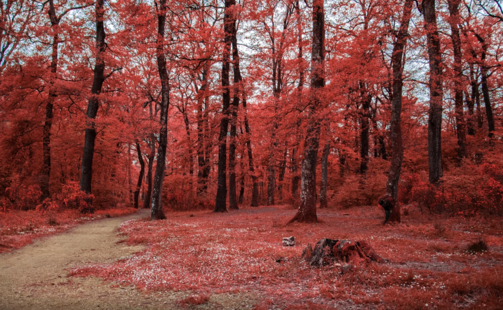 red.png