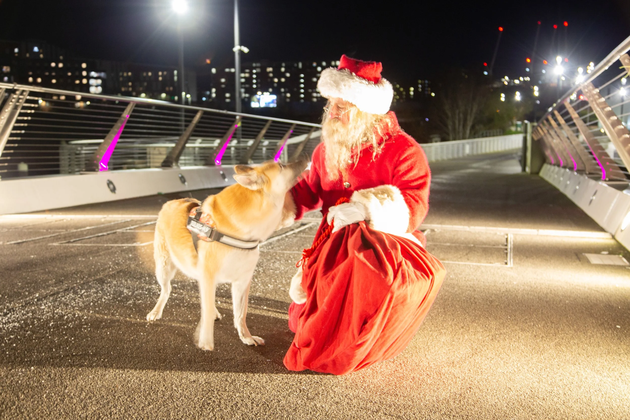 SANTA-85.jpg