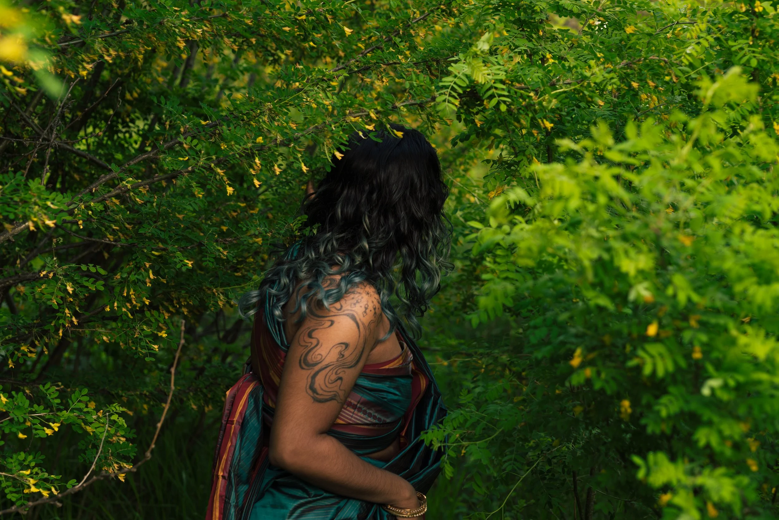 DSC_0086.jpg