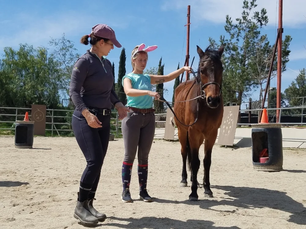 Marce Olson (a Masterson Method Practitioner) is showing Kaylee (a riding instructor at Special Spirit Therapeutic Riding Center ) some therapeutic techniques for walking a horse who is holding pain and tension in his neck . *Kaylee's cute bunny ears were for Easter weekend.