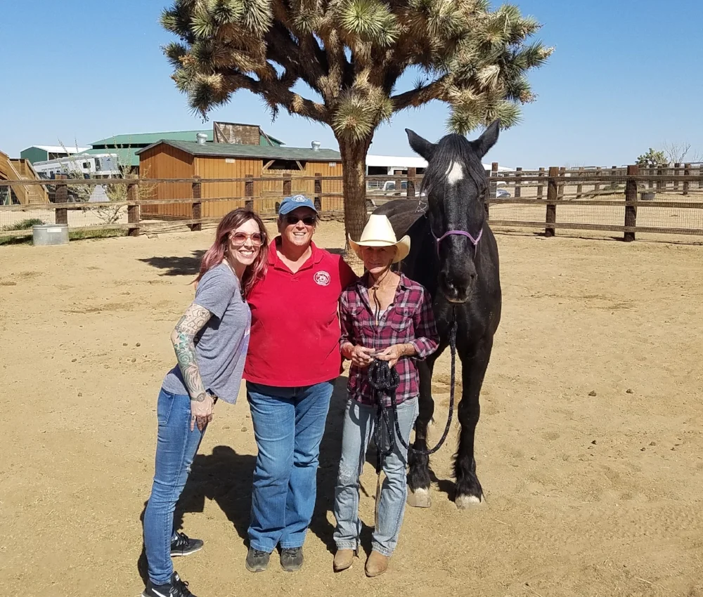 Kristen (E.E.T. Operations Manager), Terry Erlwein (Darlene's Masterson Method training Coach), Darlene Dubacher, and Journey (a rescued Percheron) at the Lifesavers Adoption and Training Ranch in Lancaster, CA. 
