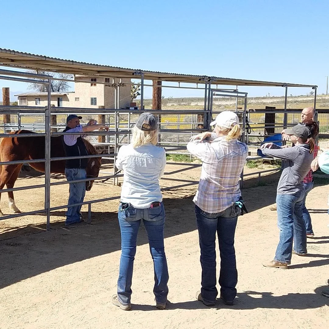 Will Friday explaining to the participants some of the important techniques of equine pressure.
