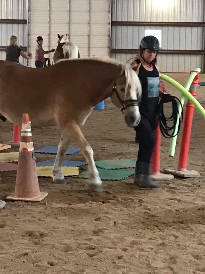 Cari is one of our veterans we are sponsoring for multiple programs, with her end goal being a therapeutic riding instructor. This is her in her intensive “Reach Out To Horses” training, that she passed with flying colors.