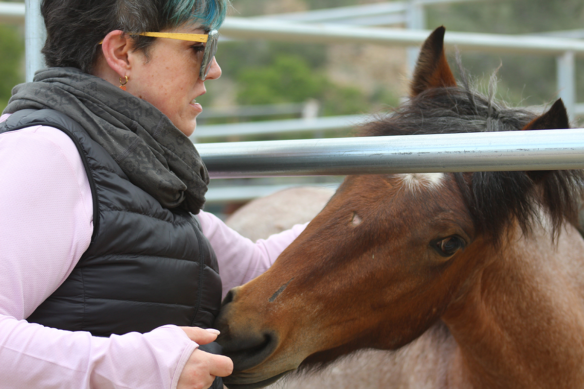 Marie’s first time around wild rescued mustangs allowed her to break out of her shell and trust herself, and her horse followed her lead and trusted her too.