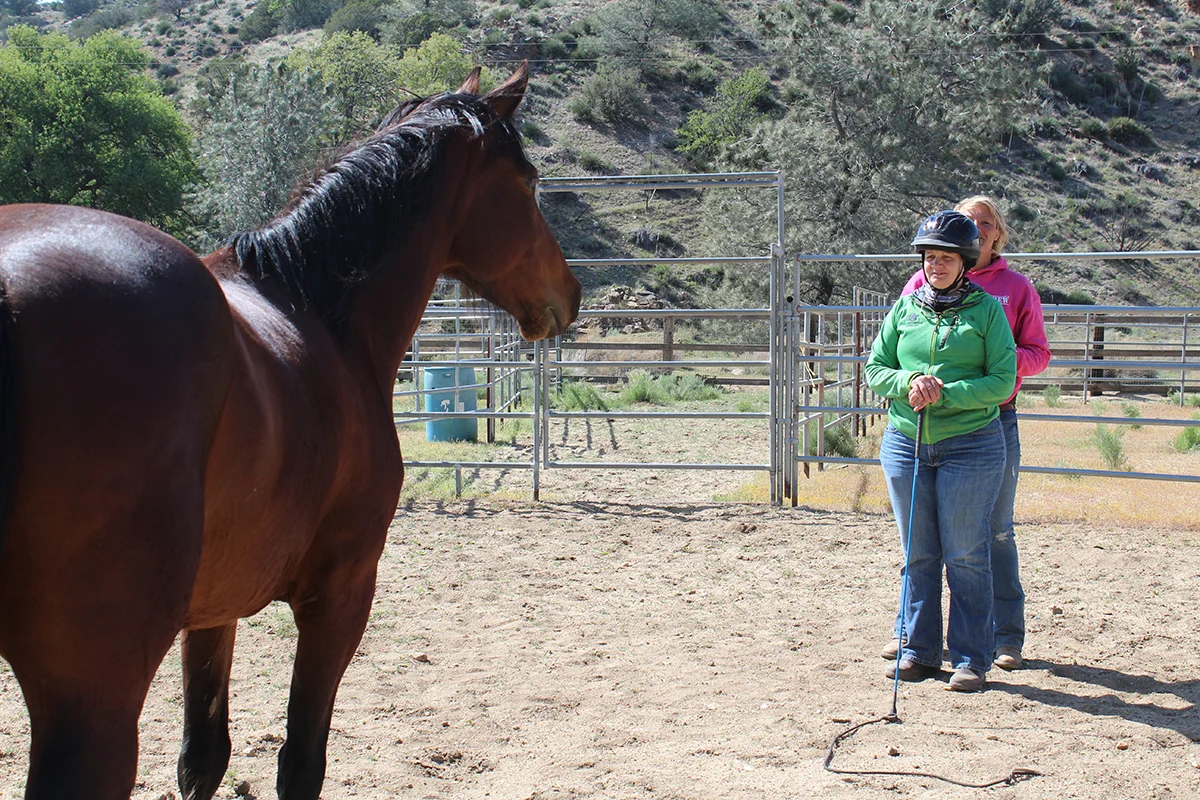 Our veteran Genee and Cheyenne (who works at Lifesavers Wild Horse Rescue) are in a round pen with a wild rescued mustang. This is the horse’s first time in a round pen and around people, and Cheyenne is giving careful guidance to help Genee stay focused and trust herself in this very new situation for both her and the horse.