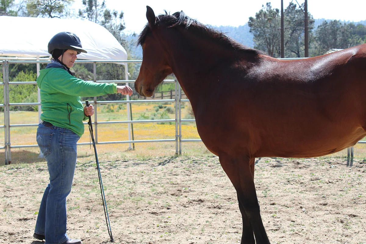 Genee is allowing herself to be calm and present in these first moments with a wild rescued mustang.