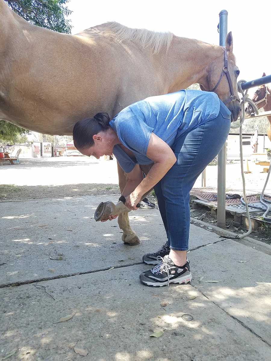 Picking up the hoof of a 1,000lb animal you don’t know can be a very scary thing- but after a couple of deep breaths Katty dove in and did it… and took a big step towards trusting that she can do more than she thinks she can.