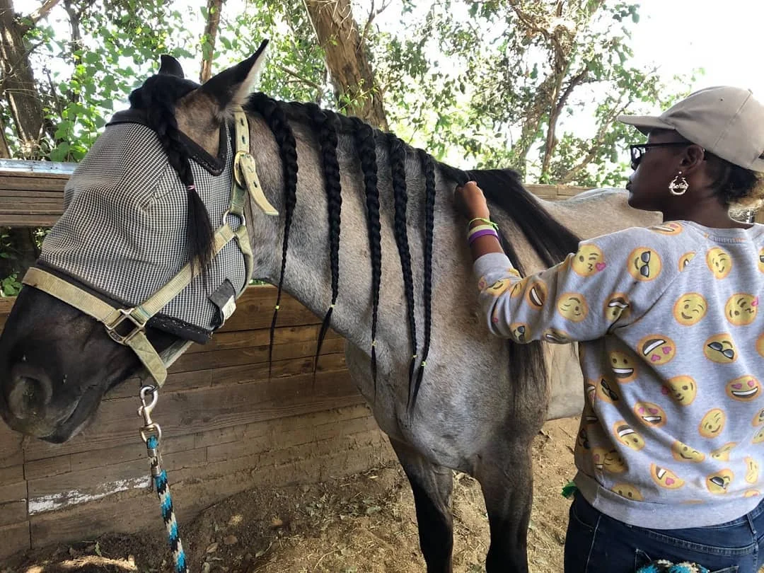 LaNita is in advanced levels of our hands on training, and is getting a wide variety of skilled knowledge from ranch work, to Masterson Method, to specialty grooming for equine events.