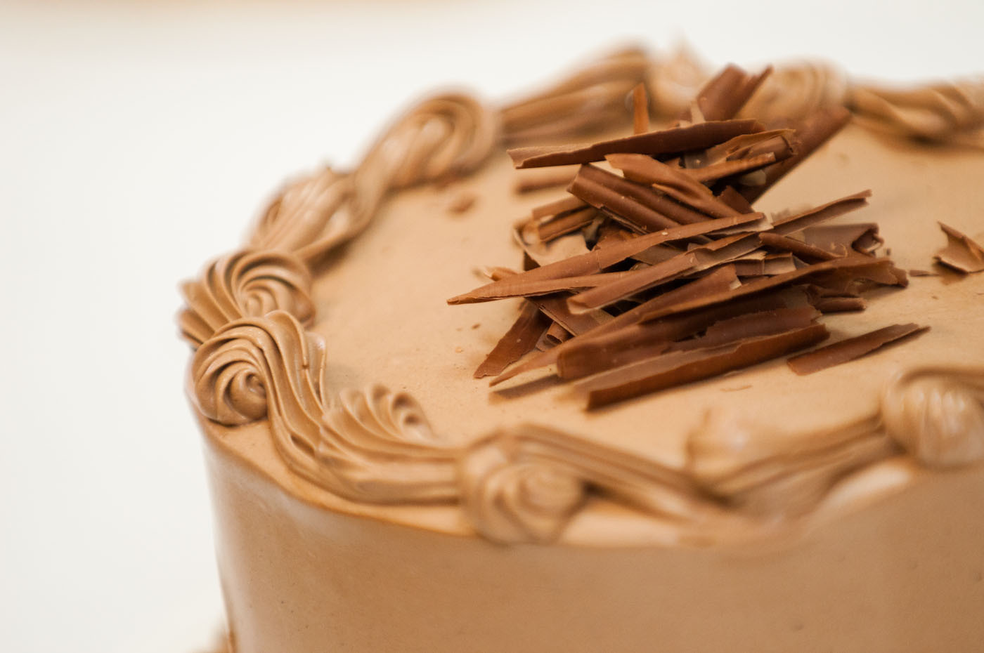 David Cohen - GU-9136.jpg