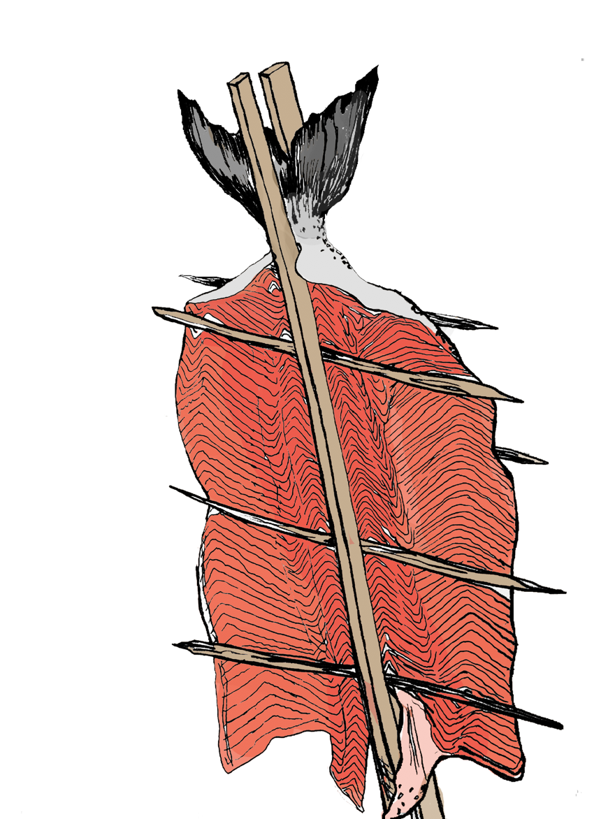 WILD SALMON