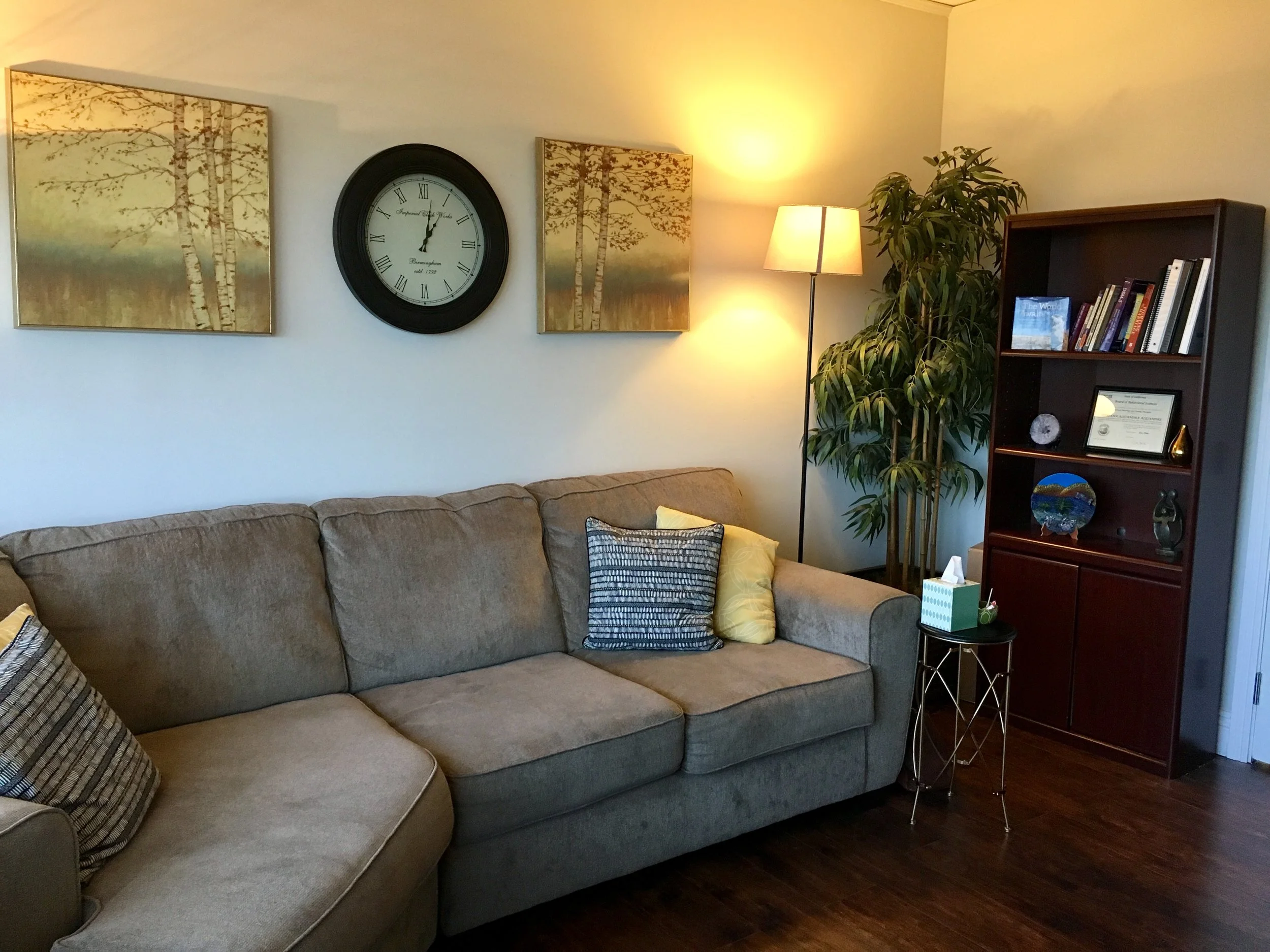 Terapia para adolecentes en la ciudad de Porter Ranch, CA con Adriana Alejandre, psicoterapeuta.