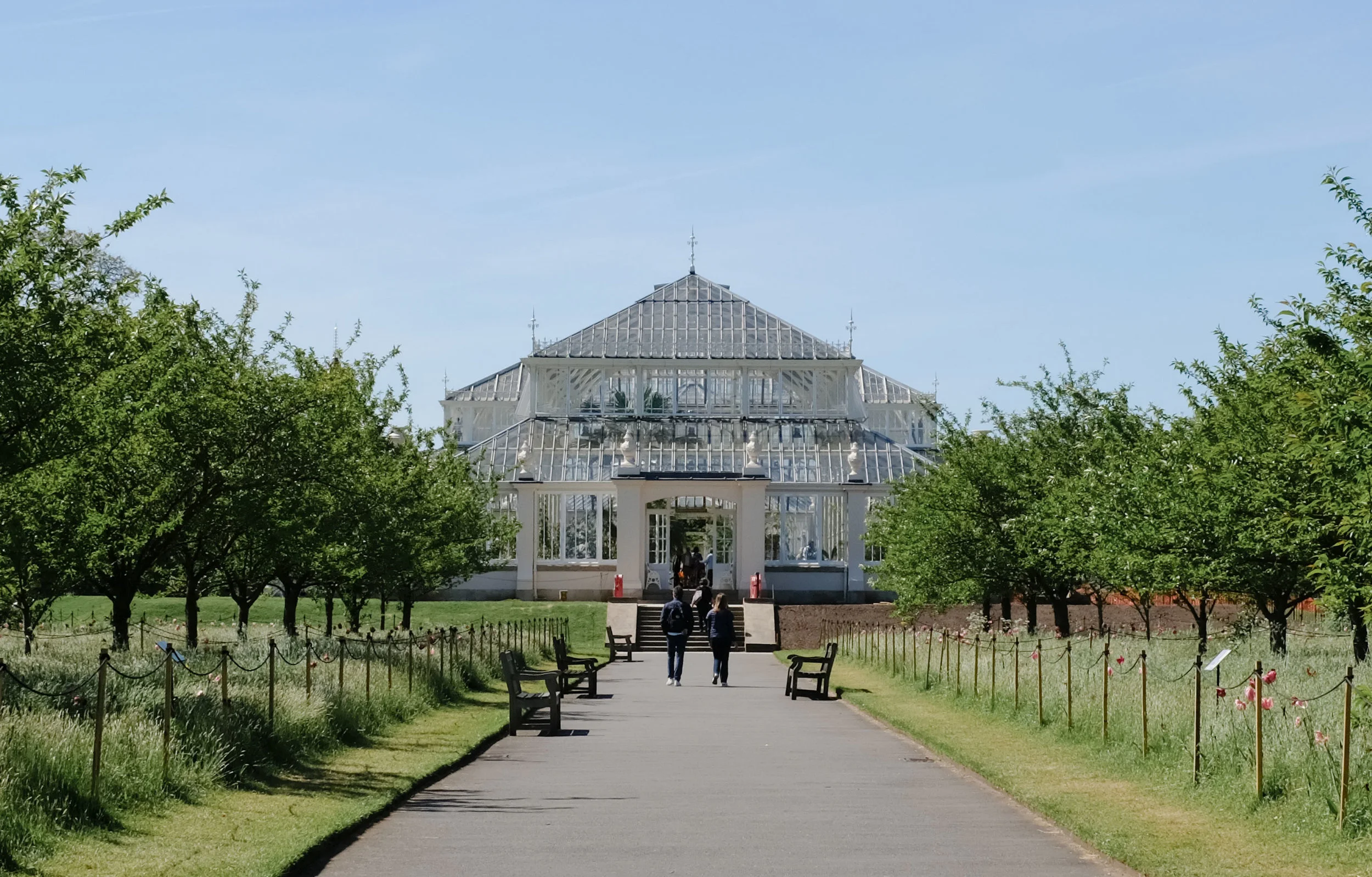 I know I haven't been to many botanical gardens in my lifetime, but this has to be the most magical of them all. I seriously felt like I was in an old 1800's English fairytale. This Temperate House is the largest Victorian glasshouse in the world! Took nearly 40 years to complete!!
