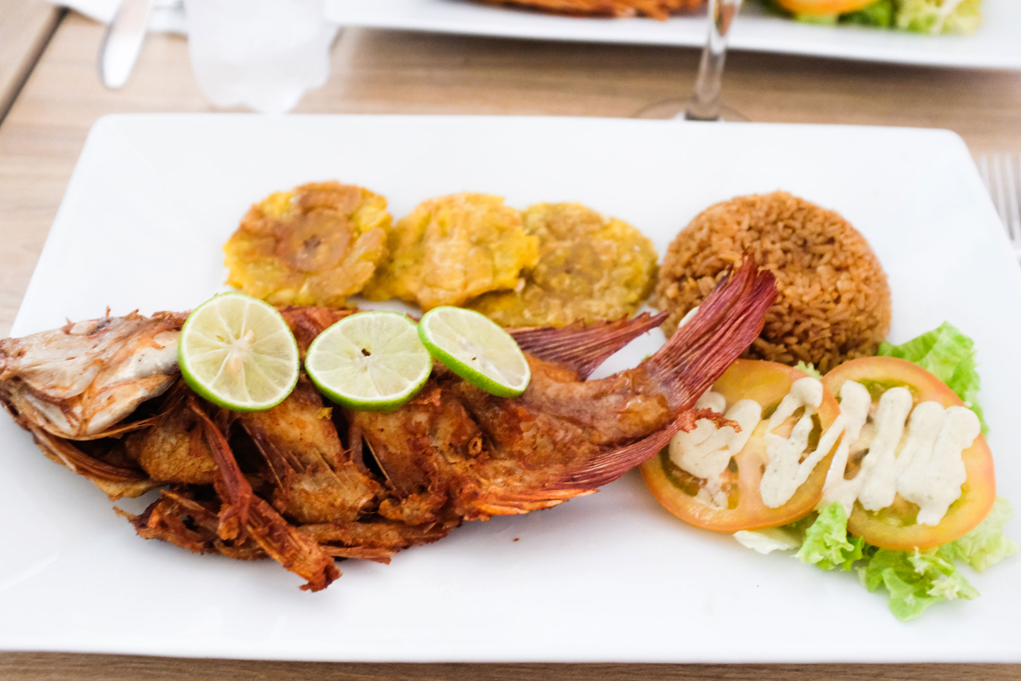 I finally got to try mojarra! After discovering this amazing band called Systema Solar, I’ve been singing one of their songs that celebrates the dish above. Now I know why they made a song about it. It’s fried fish but the fish skin is the best part. I know, weird. We ate this at Stefanos Bistro.