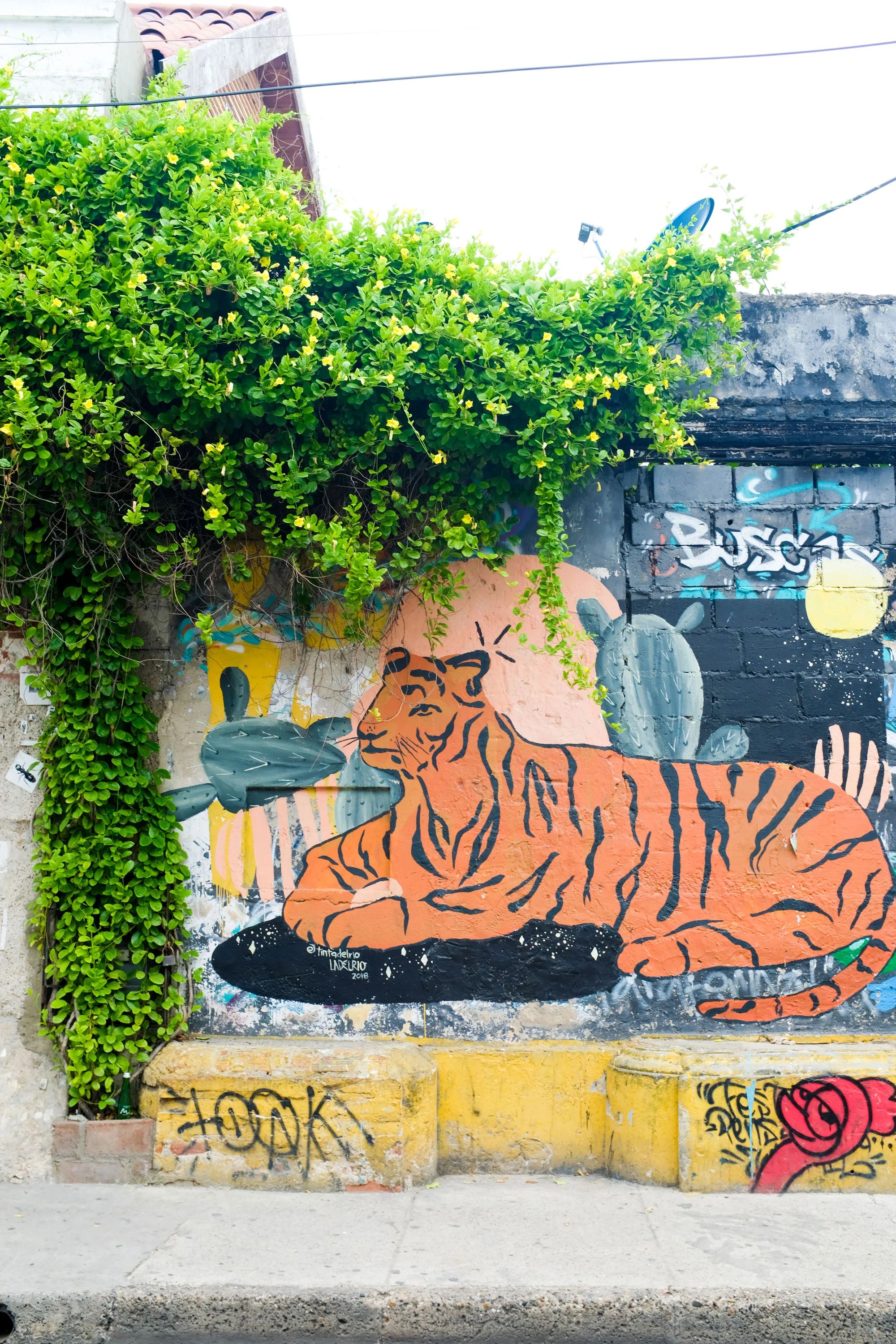 Tons of street art to be found here.