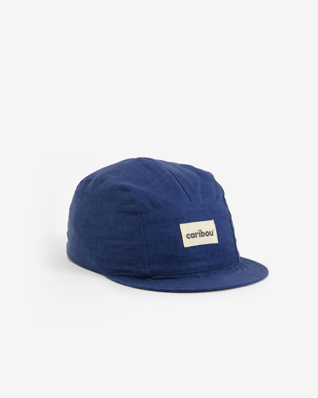 CAS-INDIGO-BIAIS.jpg