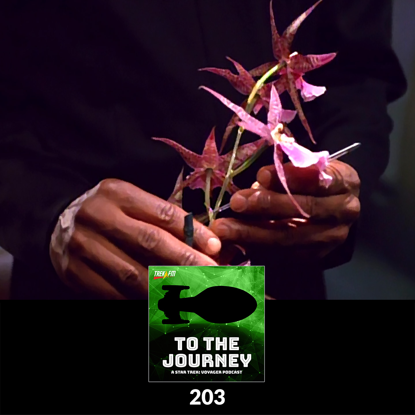To The Journey 203: Guns N' Orchids - Tuvok Unhinged.