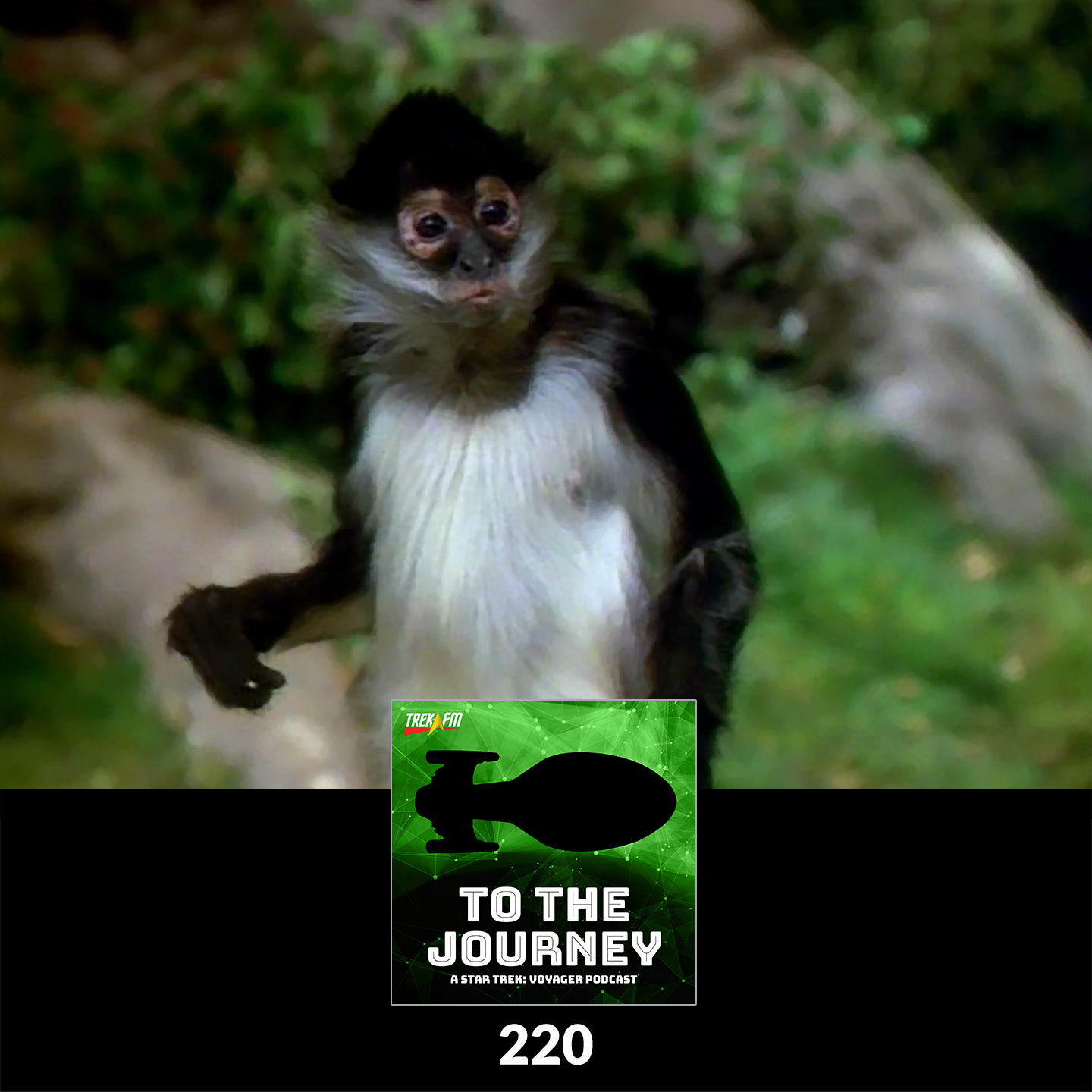 To The Journey 220: Who's Bringing the Monkey? - Desert Island Episodes - Voyager Season 2.