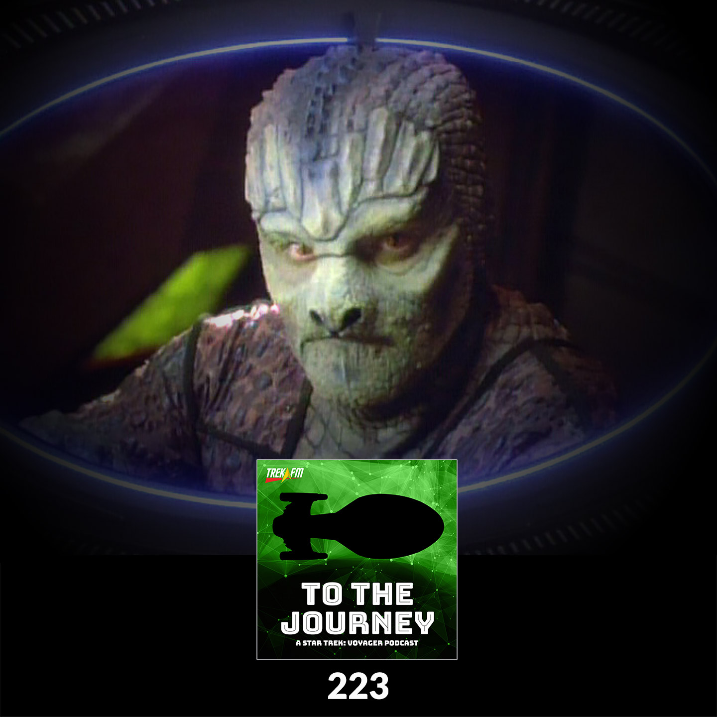 To The Journey 223: Space Pheasants - The Hirogen (VOY) and the Hunters (DS9: "Captive Pursuit") Comparison.