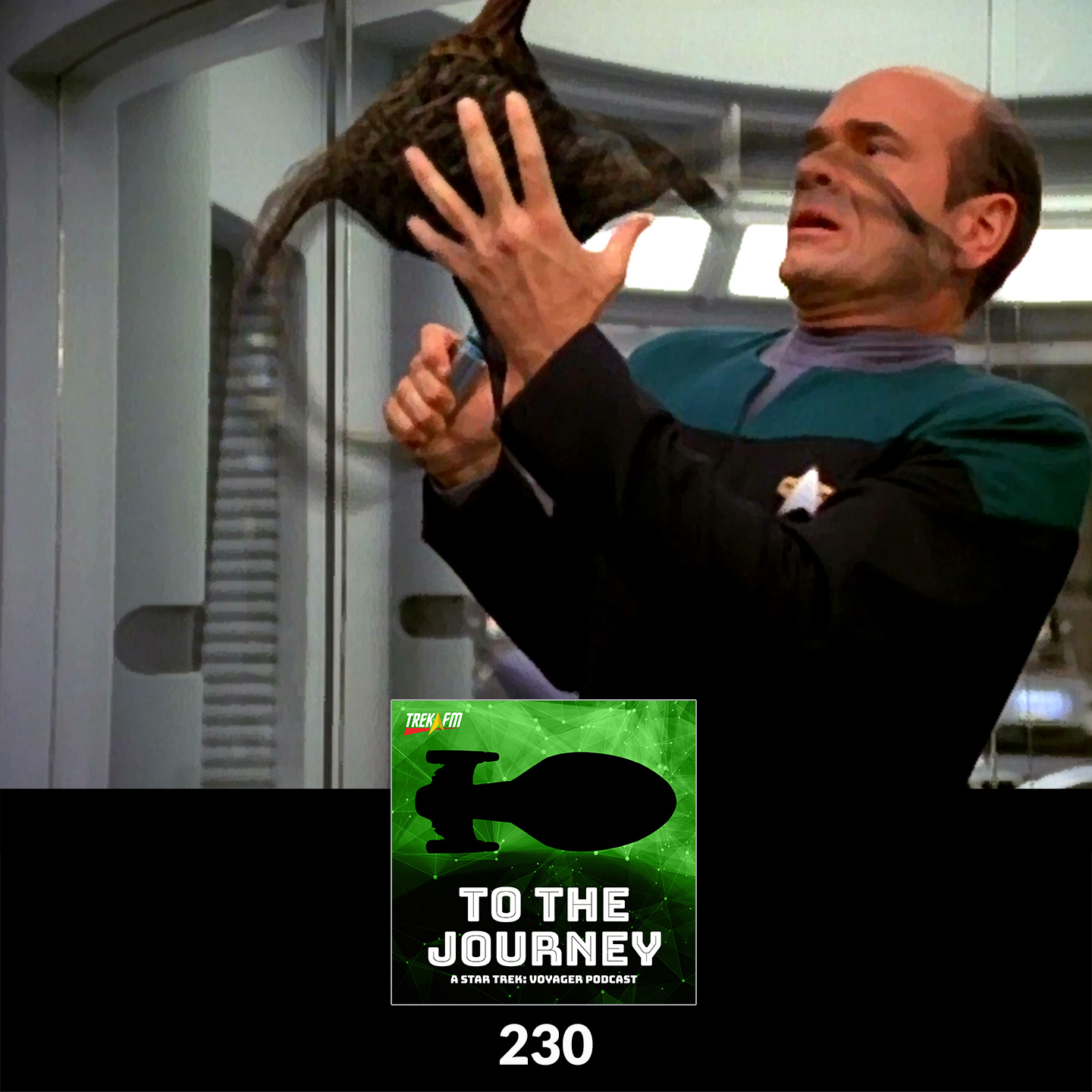 To The Journey 230: Macrovirus? Tastes Like Chicken - Desert Island Episodes - Voyager Season 3.