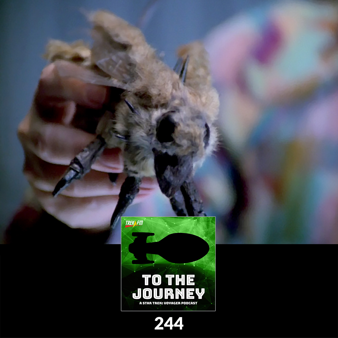 To The Journey 244: Fur Fly Vision Quest - Tuvix Alternatives.