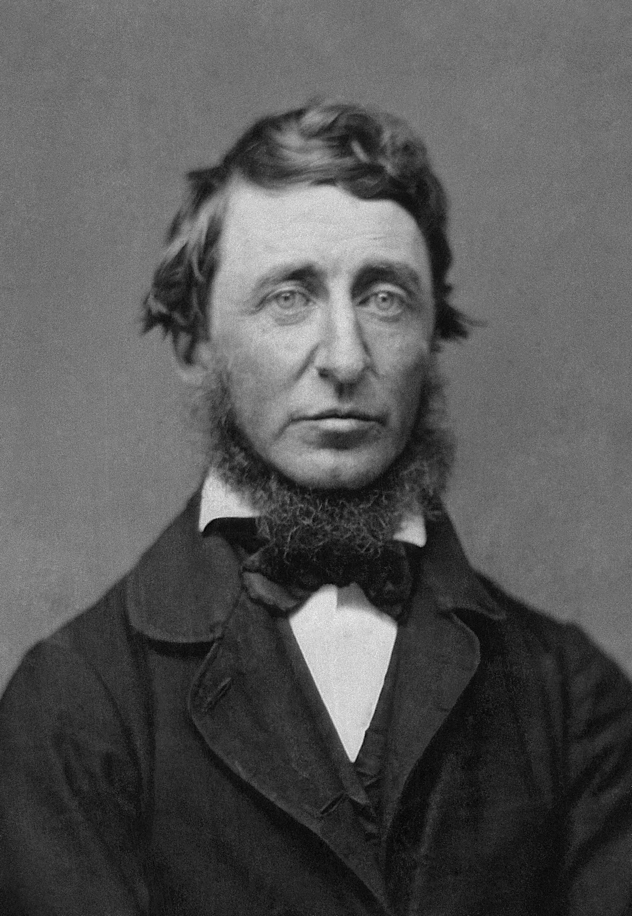 Underdogs of Philosophy: Henry David Thoreau