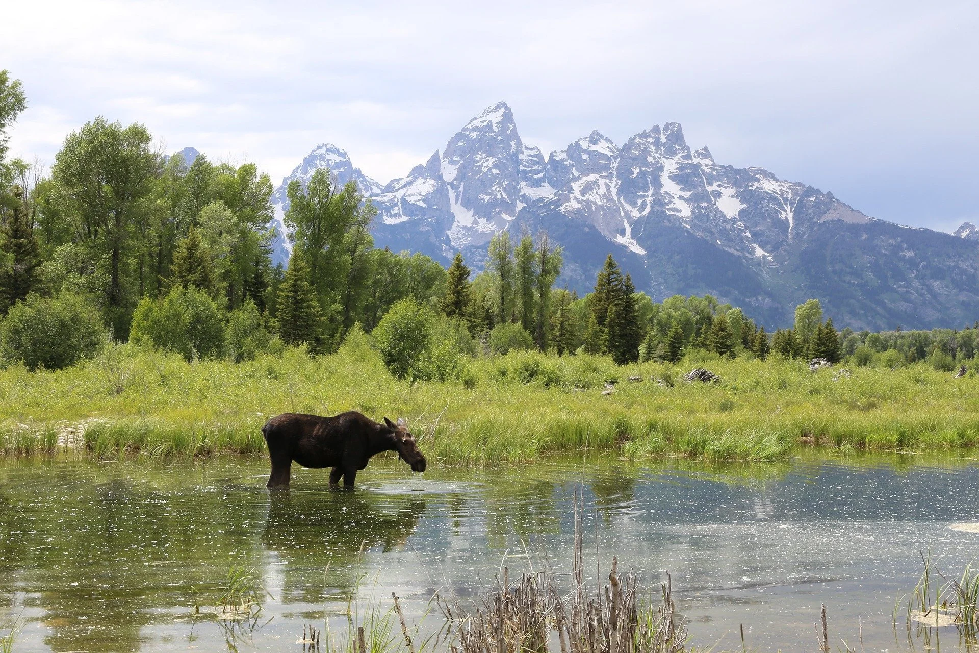 Our Planet Is Teeming with Life; Does That Mean the Universe Is Too?