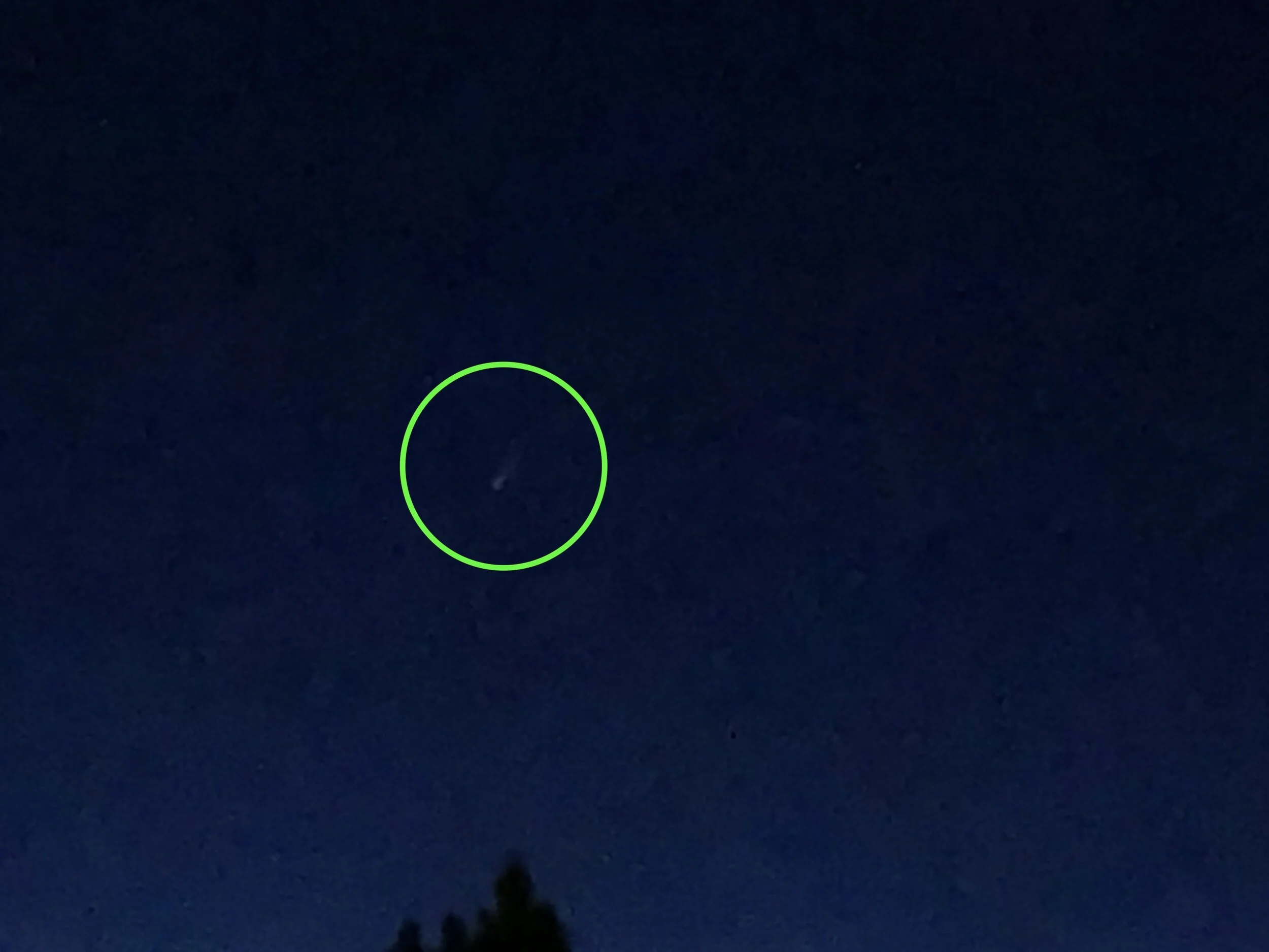 Comet NEOWISE: The Cometary Perspective on Human History