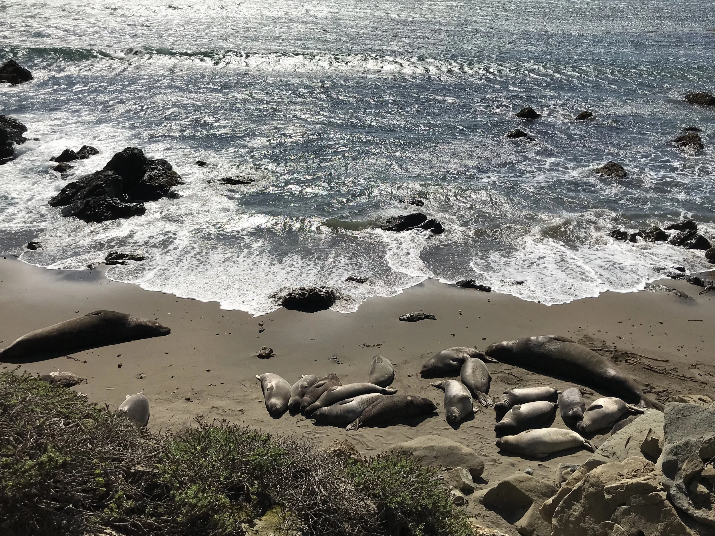 Coming Up: America • América!