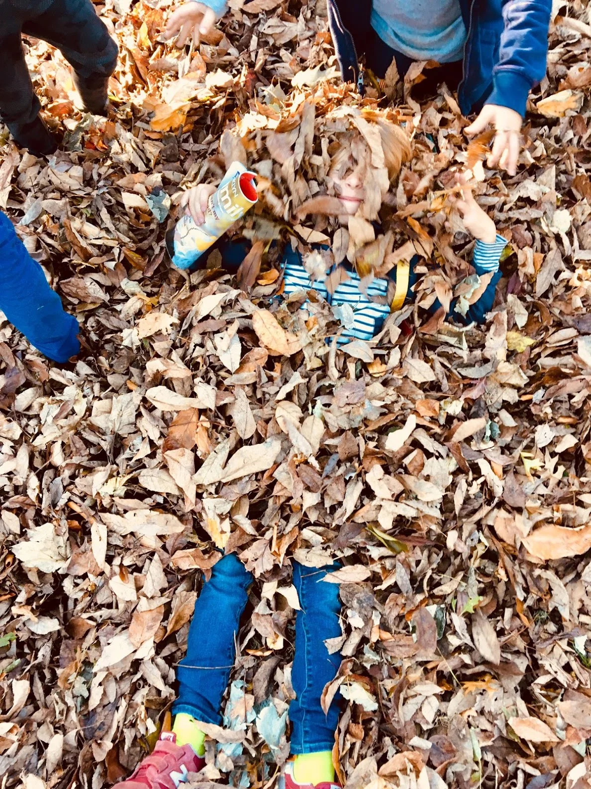 Fall 2019 Wednesdays