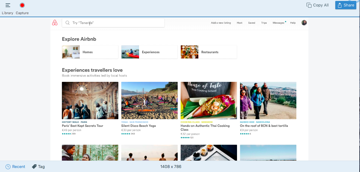 Screenshot of Snag It Software.