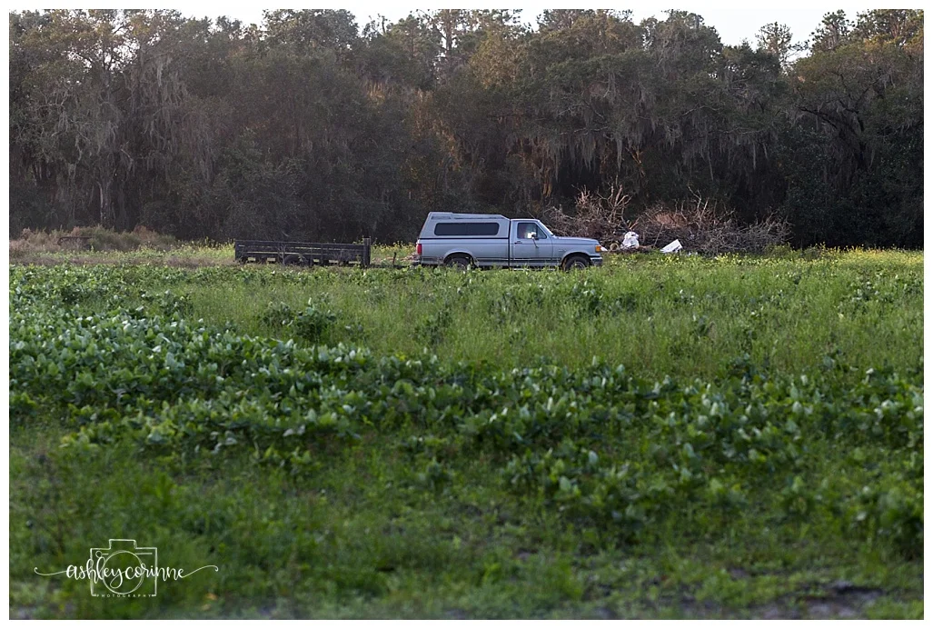 In the Field - A Florida Cane Grinding - Ashley Corinne Photography