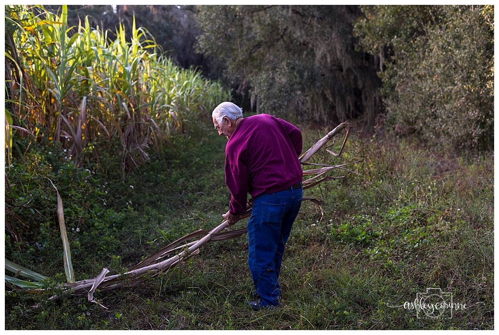 In the Field - A Florida Cane Grinding - Ashley Corinne Photography