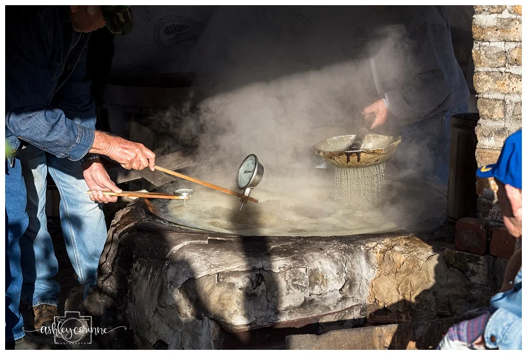 Temperature - A Florida Cane Grinding - Ashley Corinne Photography