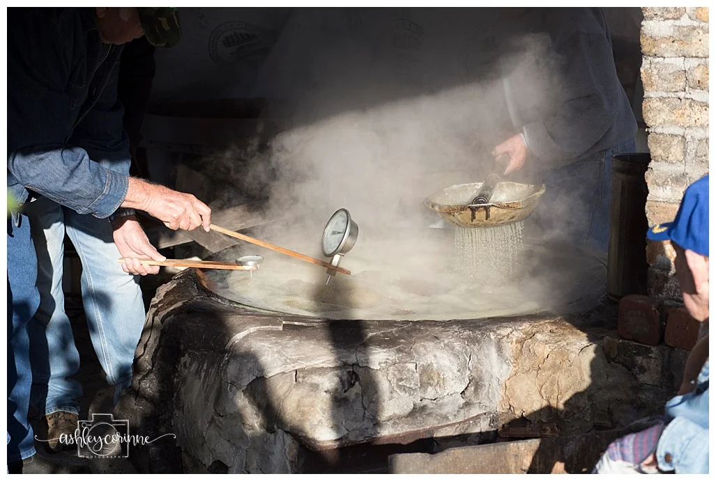 Almost Time - A Florida Cane Grinding - Ashley Corinne Photography
