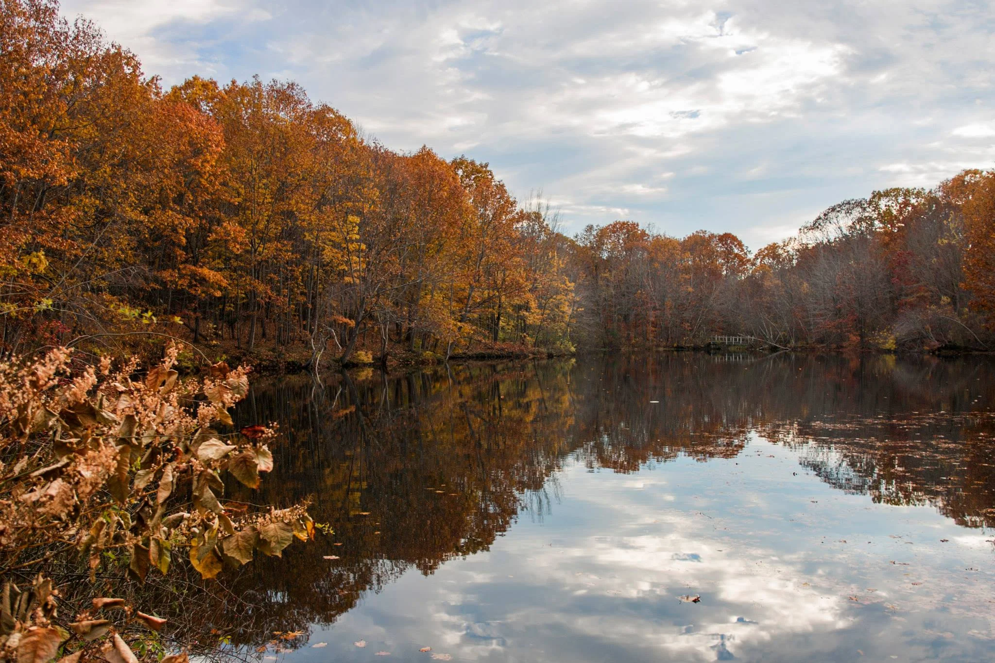 Hinckley Park in Autumn