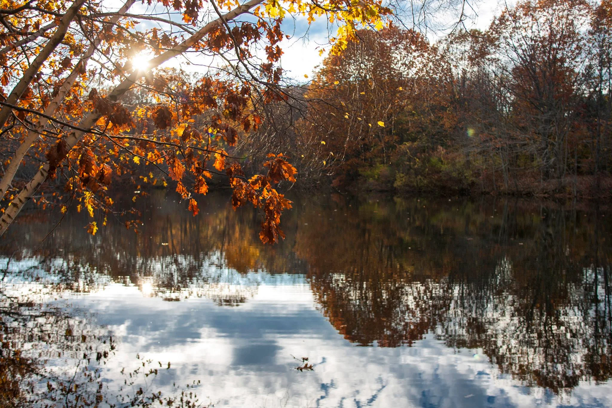 Lovely views of Hinckley Pond and Old Ice Pond are features of this park