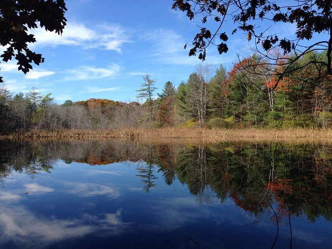 The two-acre pond that connects to Kimball Brook