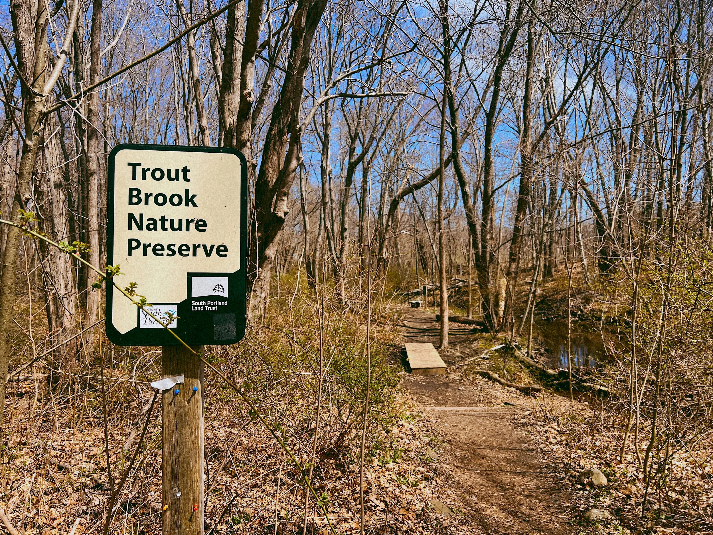 SP Library Trout Brook Clean Up & Storytime